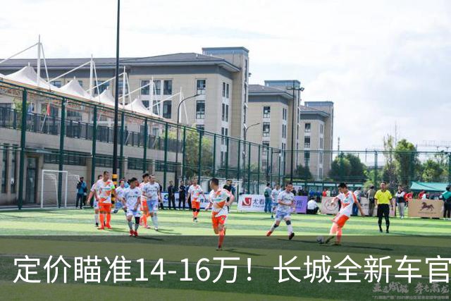 定价瞄准14-16万！长城全新车官宣，年内就能买到